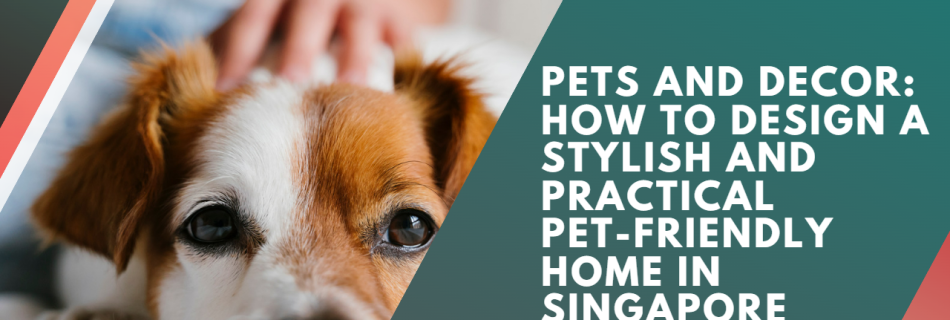 Pets and Decor: How to Design a Stylish and Practical Pet-Friendly Home in Singapore